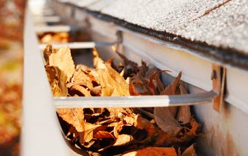 Craigton gutter cleaning companies