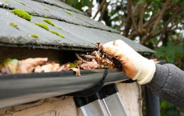 gutter cleaning Craigton