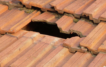 roof repair Craigton